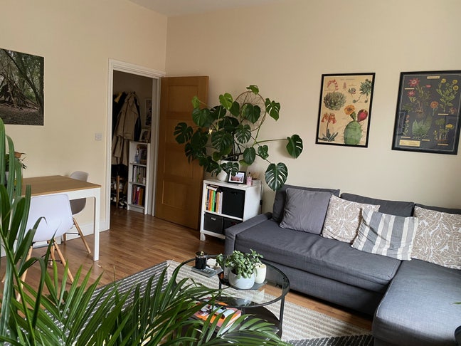 Lovely 1 bed flat, great location Main Photo