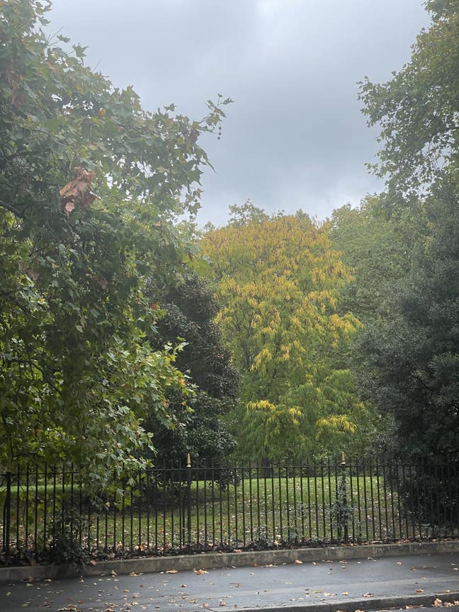 Battersea Park double room share with one Main Photo