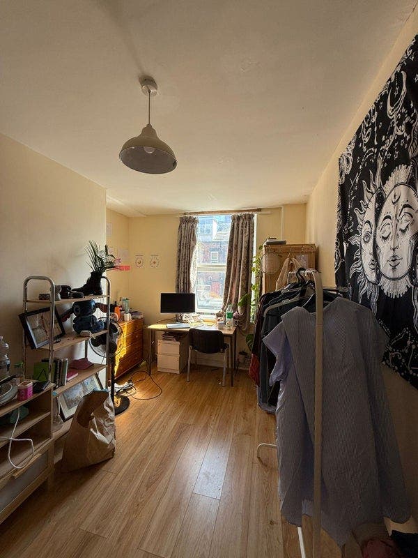 🌿 Lovely Single Room Available in Friendly Profnl Main Photo