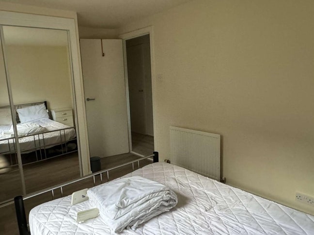 Need a female roommate  Main Photo