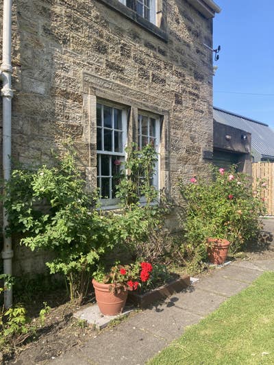 Nice bright ensuite room in historic house Main Photo