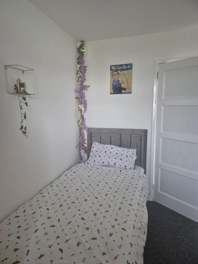 Single room. Available Main Photo