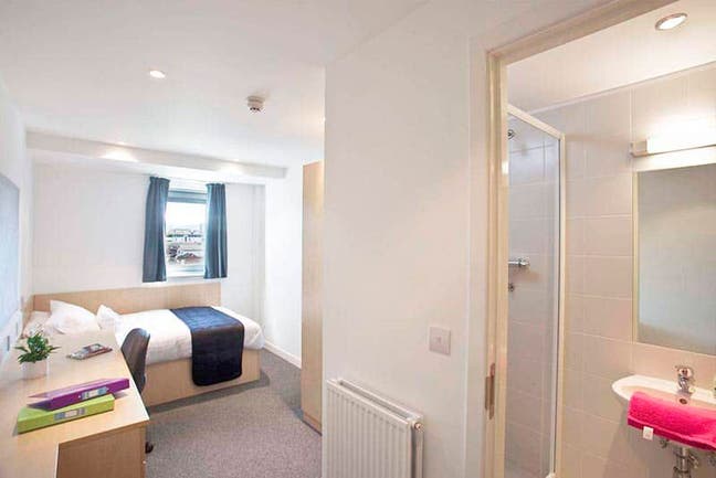 Room For rent  Main Photo