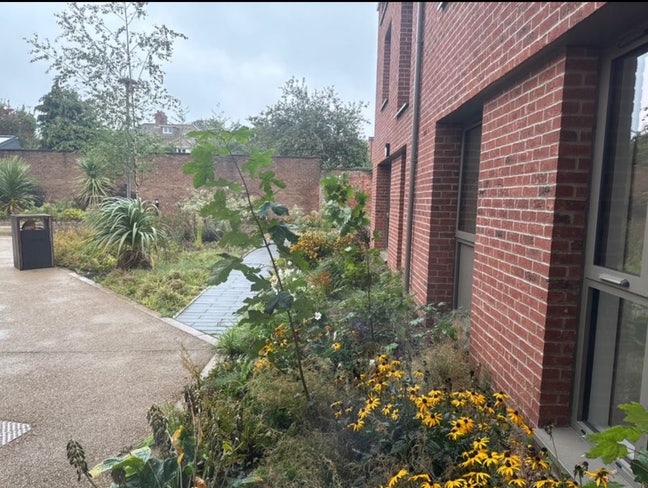 A Serene One Bed Student Accomodation Main Photo