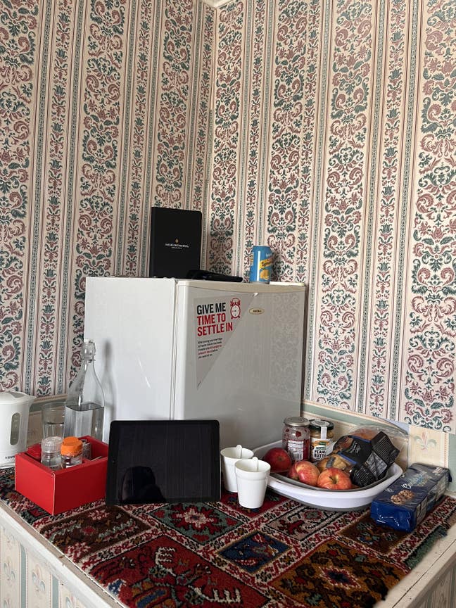 Room in grt london for a female with all amenties Main Photo