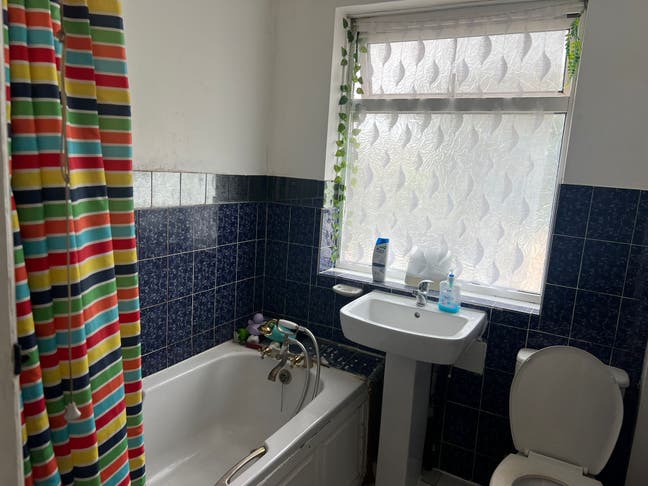 Single (Box) and Double Bed for Rent Main Photo