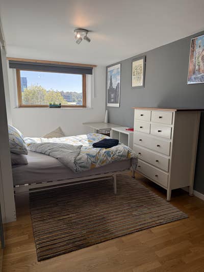 Double room near Kings College Hospital/Thameslink Main Photo