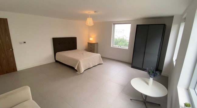 Spacious room in penthouse - Battersea - now Main Photo