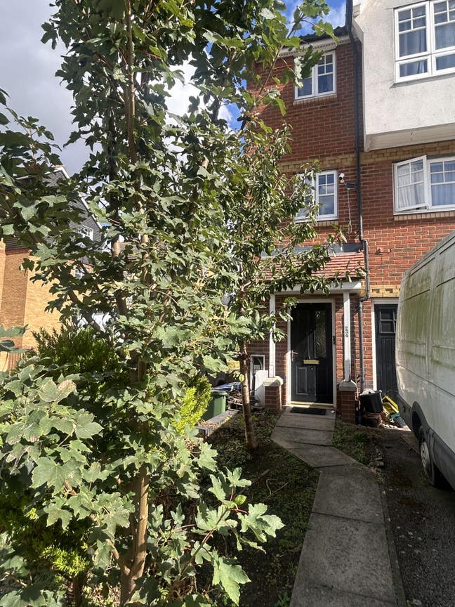 Single room for rent for one person. Rent  £680 Main Photo