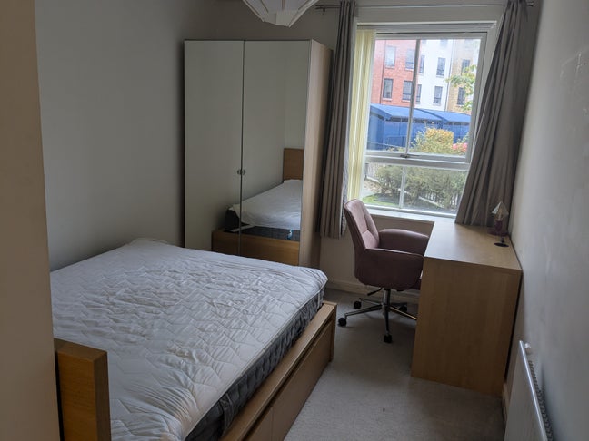 Room Available Now Main Photo