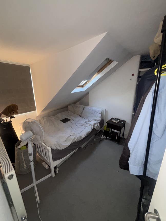 Double Room in Putney House share Main Photo
