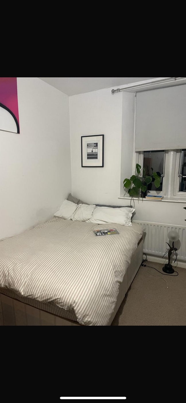 1 Double room in sociable Brixton house Main Photo