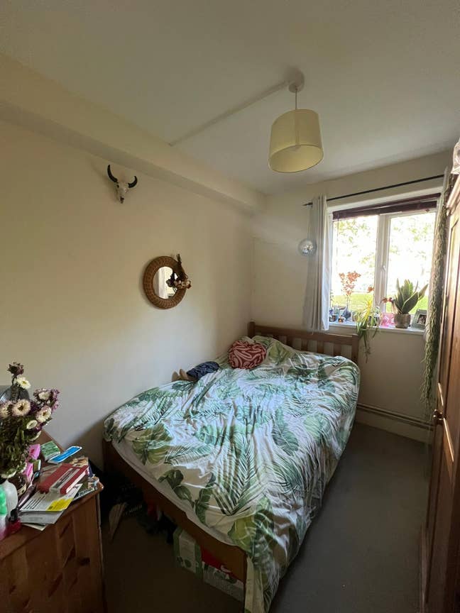 Cozy double room in cute girly flatshare ✨ Main Photo