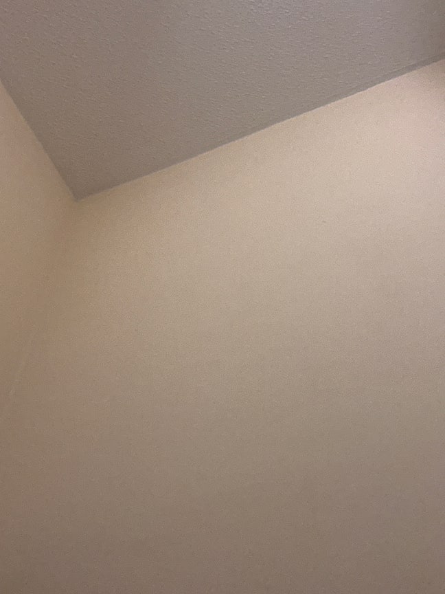 Two rooms required or one  Main Photo