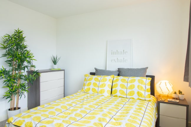 Large En Suite in Super Tidy Home!  Main Photo