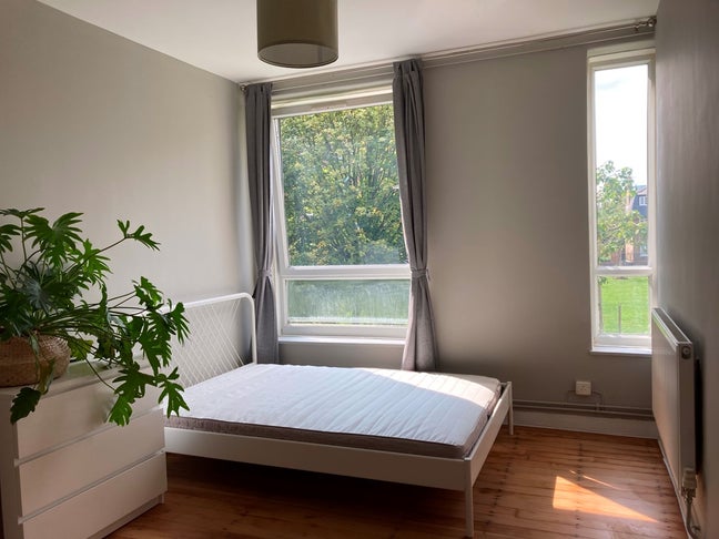 Elephant stunning room available in flat share Main Photo