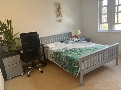 🌞  Large double w/ ensuite near river  SE10 Main Photo