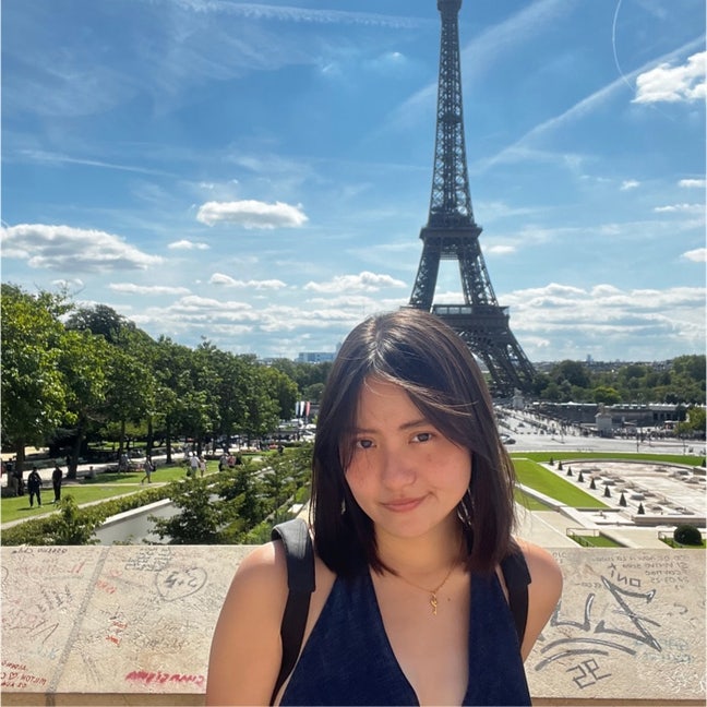 Professional Female seeks a single or double room Main Photo