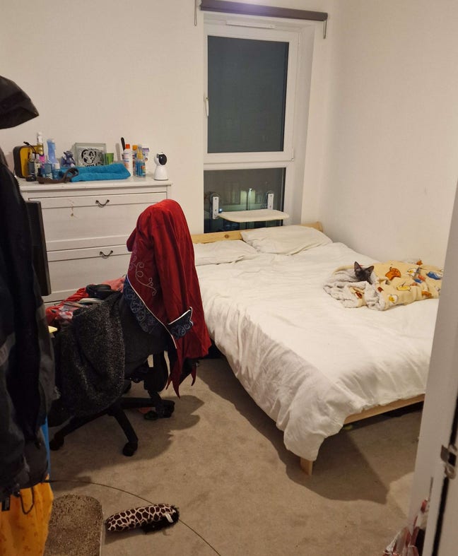Double Room in Modern Flat.  Main Photo