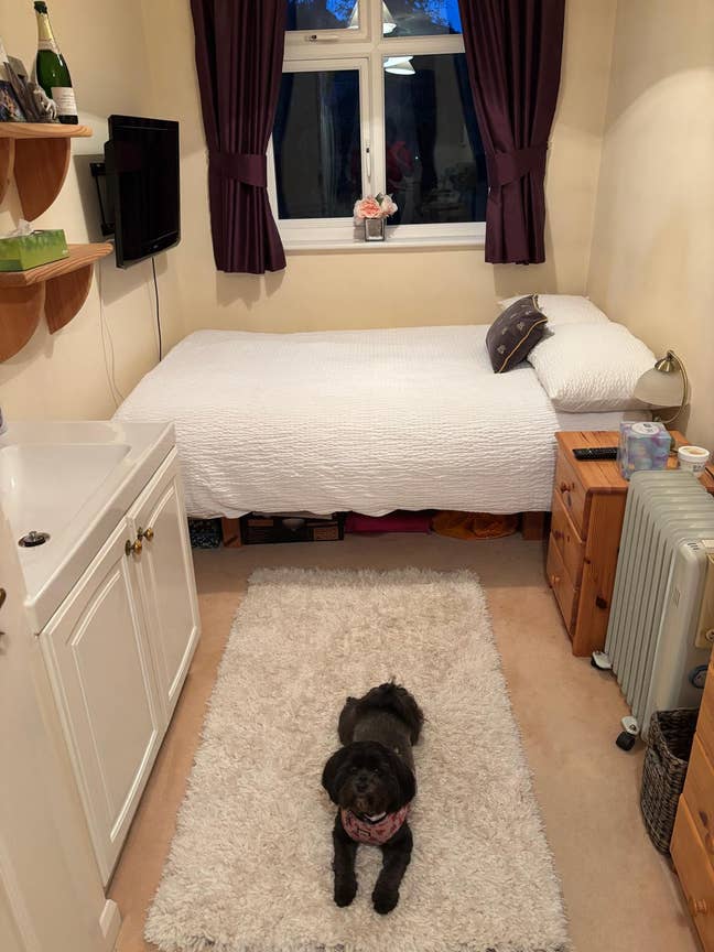 Single Room Available near Richmond Park  Main Photo