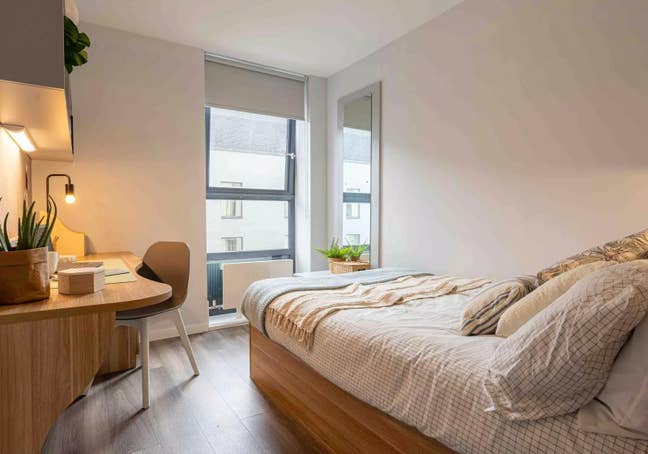 Ensuite Room in IQ Sterling Court Wembley Main Photo