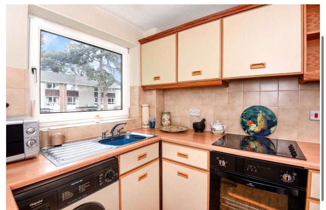 Nice Room available in 2 bedroom flat Main Photo