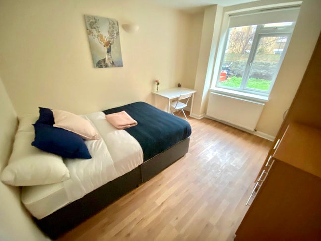 Fancy-Finish Double Room in a Sleek Flat Main Photo