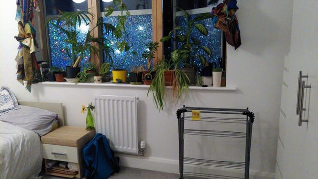 Vegan only Double room in friendly share  Main Photo