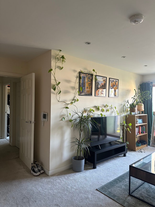 Double room for rent in city centre Main Photo