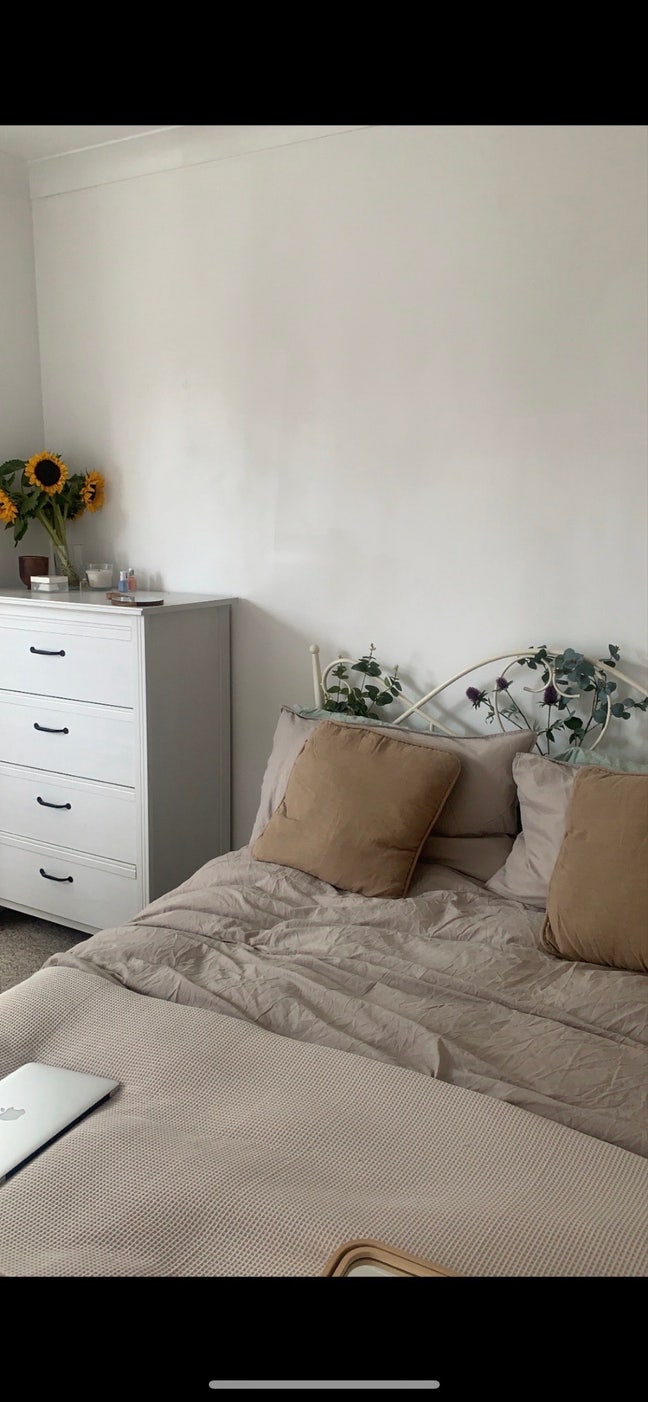 Sublet- Large room in northwest London dec- march  Main Photo