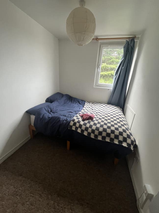 Double Room in 3-bed flat share  Main Photo