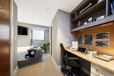 Nova - Collegiate UK  Main Photo