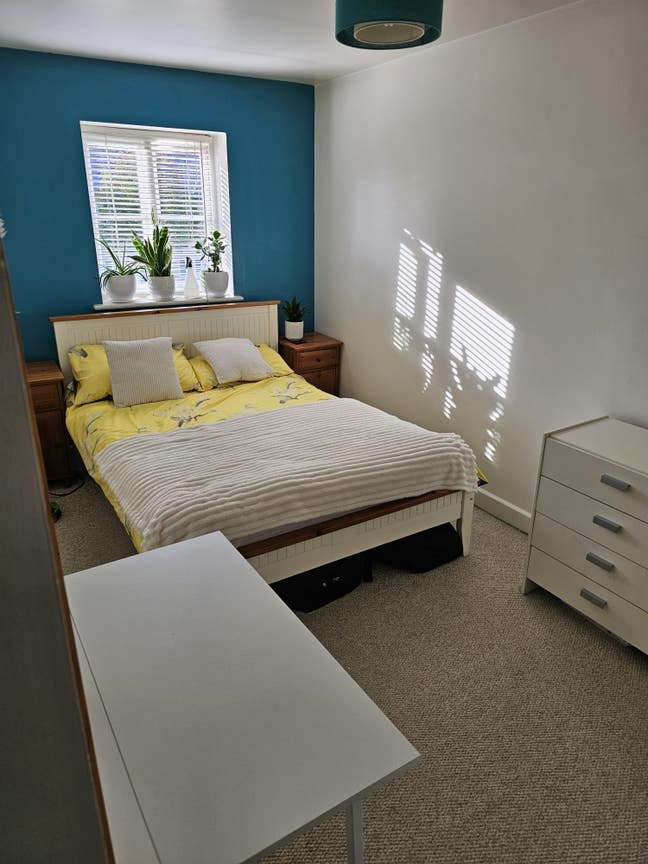 Double room  Main Photo
