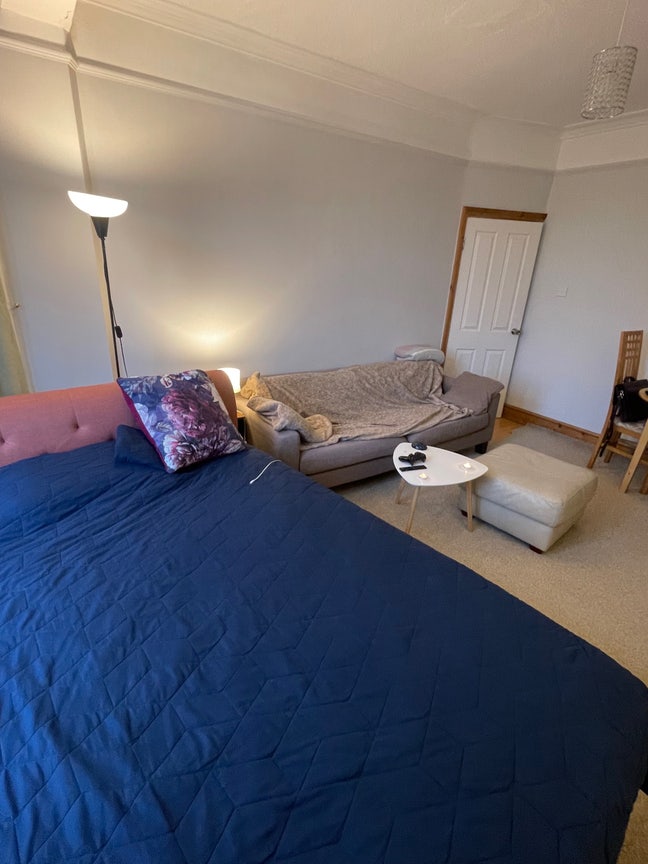 Big Double Room in Palmers Green Main Photo