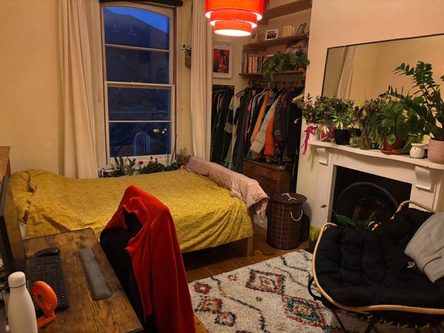 Double room in wholesome Redland houseshare  Main Photo
