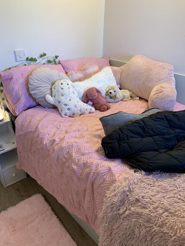 Beautiful en-suite double room near university  Main Photo