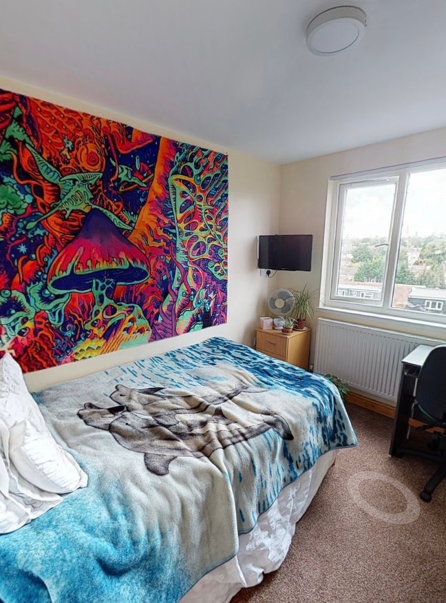 1 En-suite room at Selly oak  Main Photo