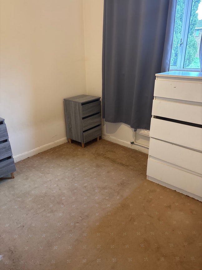 Single Room available immediate occupancy Main Photo