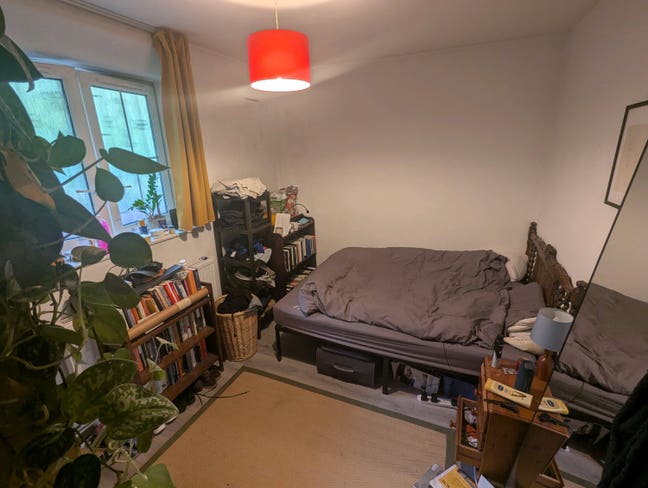 Double room in Clissold Park flat Main Photo