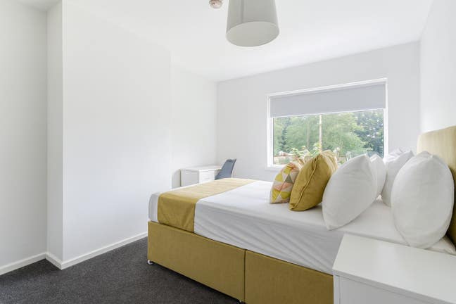 No Deposit Luxury Rooms - Available Now Main Photo