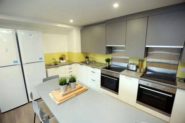 Student Flat available for tenancy takeover.  Main Photo