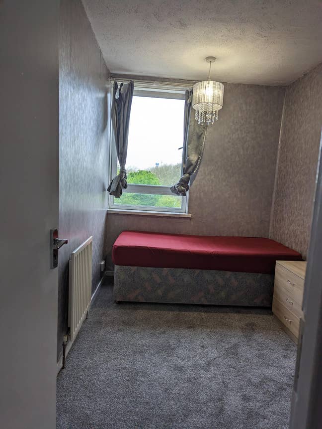 Single room in canary wharf  Main Photo