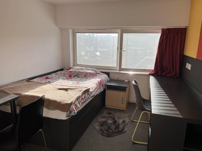 Room in 2-Bed Flat near Angel Station  Main Photo