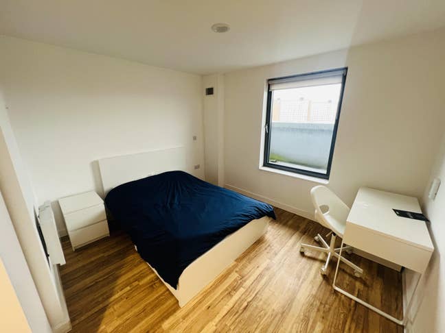 X1 Campus Penthouse studio to let  Main Photo