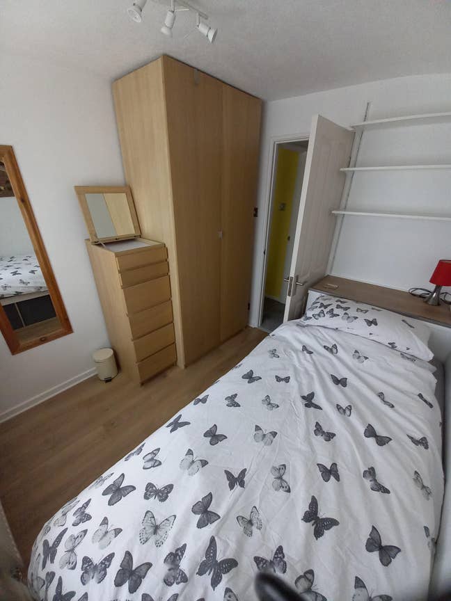 Single room for rent Main Photo