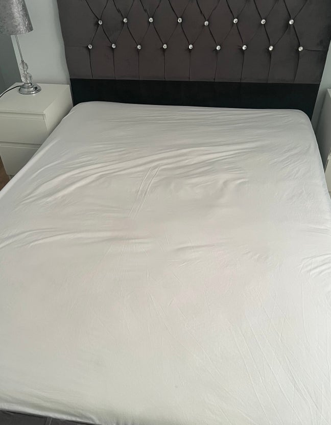 Room to let to a professional  Main Photo