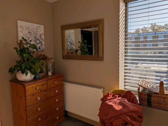 Friendly flat with dog seeks flatmate  Main Photo