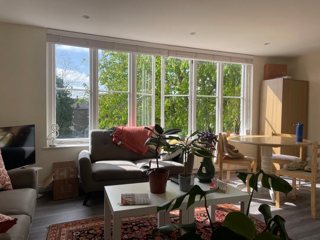 Room in lovely West Hampstead flat Main Photo