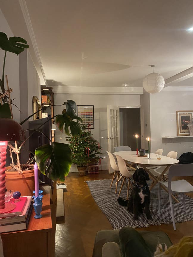 Room in Dartmouth Park, next to Hampstead Heath!   Main Photo