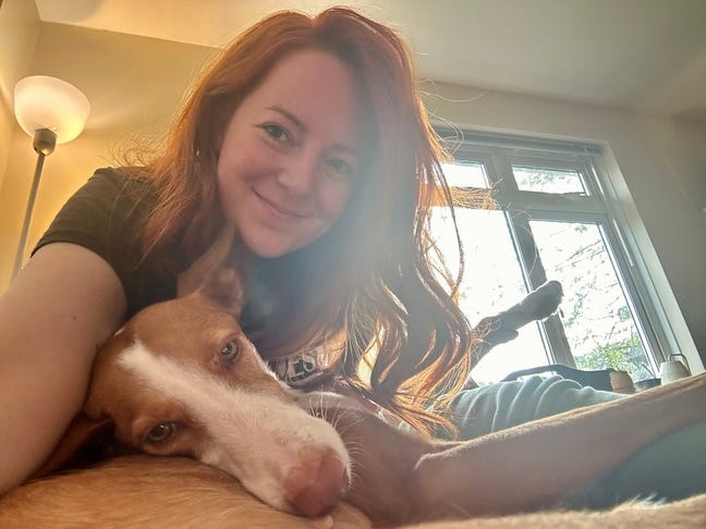 Lovely dog and video editor looking for a room Main Photo